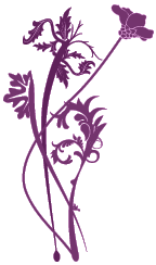 garden design graphic